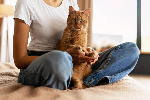 istock Woman holding a ginger cat in her lap while sitting on the bed 2227658584