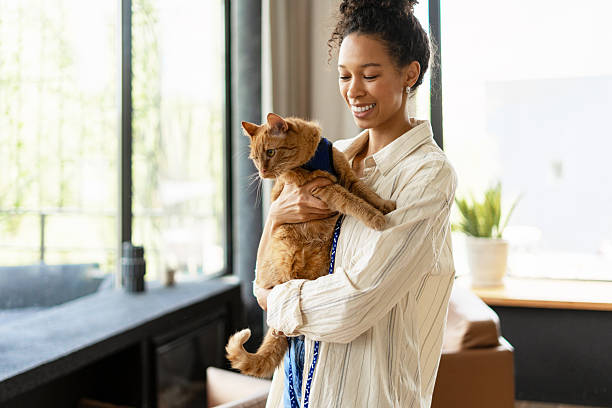istock Young Woman Smiling While Holding Pet Cat 2227658809