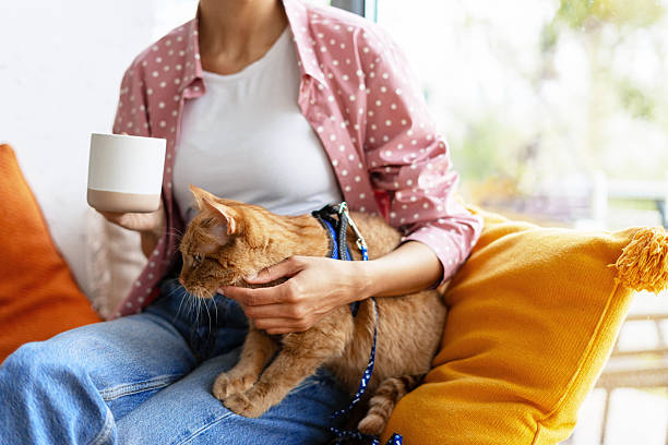 istock Relaxing with a Cat and Coffee at Home 2227659275