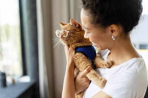 istock Woman holding a ginger cat wearing eyeglasses 2227659697