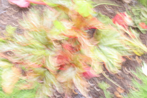 Hand Held Photographic Technique: A group of palmate Begonia leaves forms the structural base for this hand-held abstraction. Swirls of muted crimson, olive, and ochre dissolve into one another, hinting at rhythmic movement and botanical origin. Texture and motion interplay.