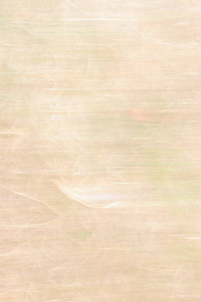 Hand Held Photographic Technique: A vertical abstract composed from dried flower heads, softly blurred to evoke parchment tones and layered organic texture. Faint hints of green and pink drift across a field of beige, forming a subdued botanical tapestry with ghostlike petal impressions and hushed midsummer stillness.