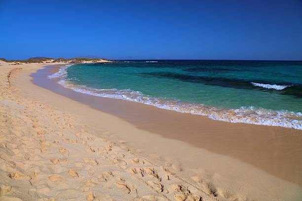 istock Corralejo sandy beach in Fuerteventura 2227670632