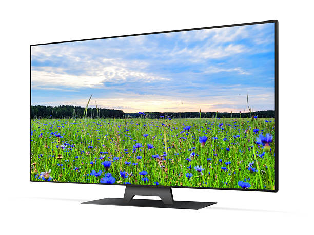 istock Smart tv with blue cornflowers field on screen 2227672525