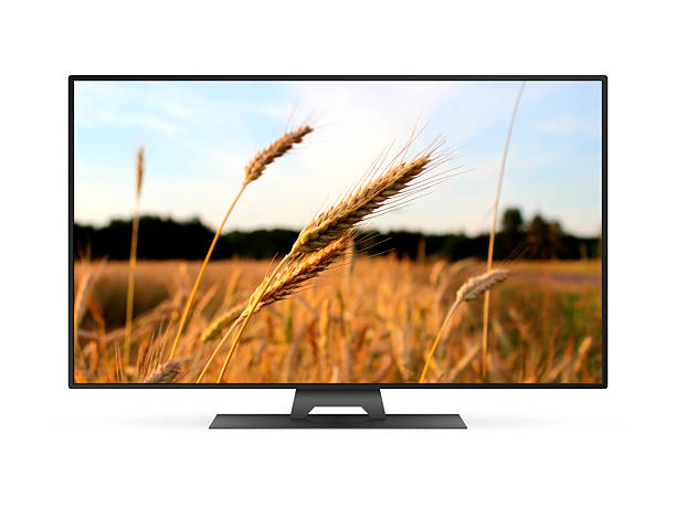 istock Smart tv with wheat field on screen 2227674327
