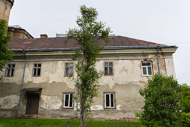 istock Metal cross overgrown with climbing plants in ancient monastery yard 2227676733