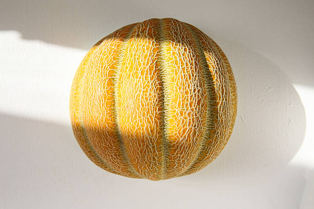 Close-up of a melon