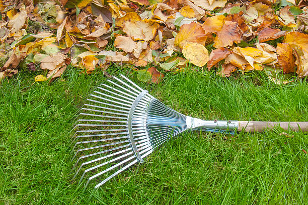 istock Autumn Lawn: Clean Grass and Golden Leaves with Rake 2227688911