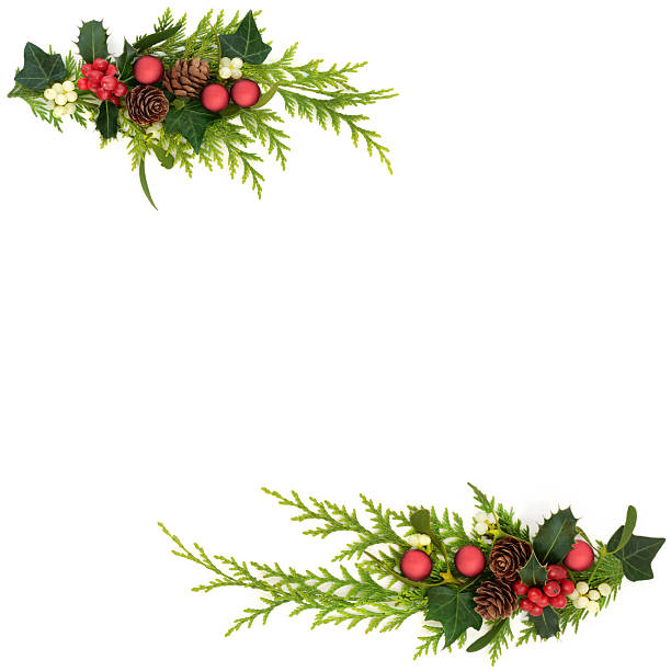 istock Christmas Bauble Decorations and Flora Border Design 2227691621
