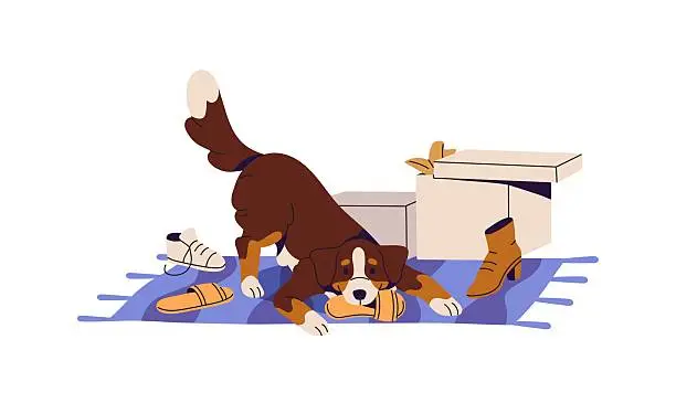 Naughty dog destroys boots. Cute puppy torns shoes, does damage. Hyperactive pup plays, chewing slippers. Unwanted, inappropriate behavior of pet. Flat isolated vector illustration on white background Naughty dog destroys boots. Cute puppy torns shoes, does damage. Hyperactive pup plays, chewing slippers. Unwanted, inappropriate behavior of pet. Flat isolated vector illustration on white background