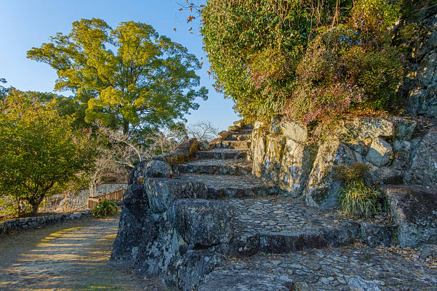 Old stone steps climb along a rocky slope surrounded by lush greenery and bathed in the soft morning sunlight, evoking a sense of timeless tranquility.