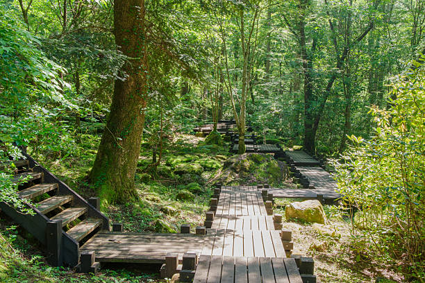 istock Boardwalk at Tsukechi Gorge, surrounded by fresh greenery (Nakatsugawa City, Gifu Prefecture) 2227707168