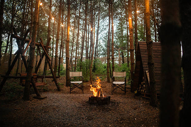istock Cozy Camp Spot with Fireplace 2227707176