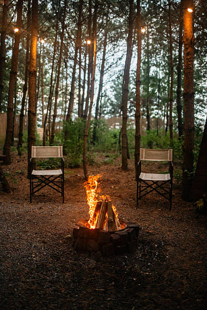 istock Cozy Campfire in the Woods 2227707209