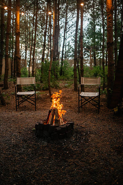 istock Evening Campfire in the Pines 2227707238