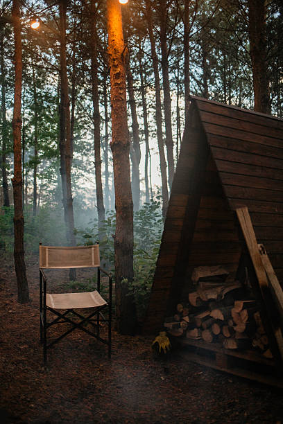 istock Smoky Forest Scene at Dusk 2227707295