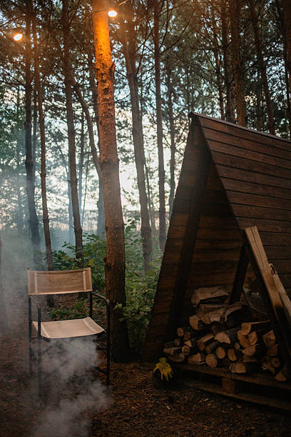 istock Empty Chair in the Forest 2227707298