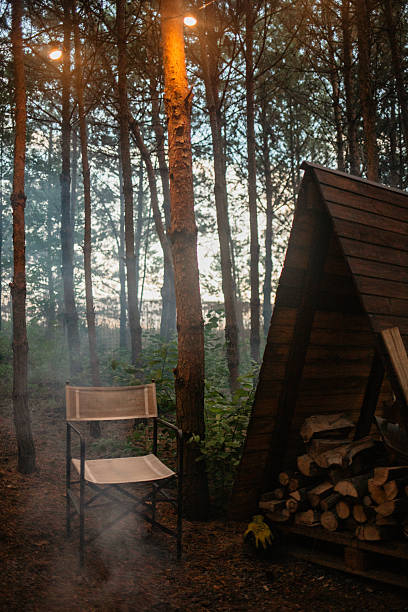 istock Camping Chair in Smoky Woods 2227707313