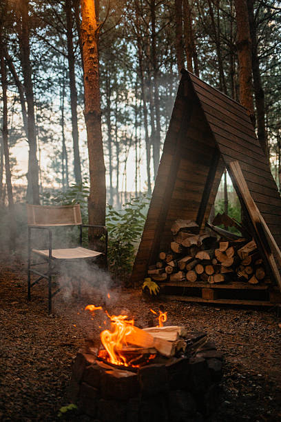 istock Cozy Campfire in the Woods 2227707314