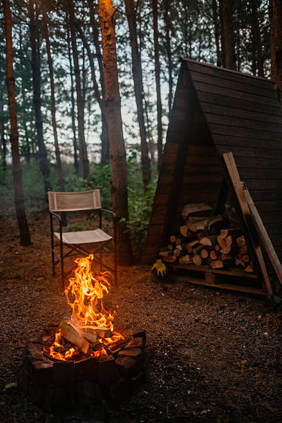 istock Evening Fire with Woodpile 2227707405