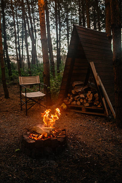 istock Campfire and Firewood Shed 2227707413