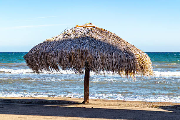 istock Palapa on beach in coastal landscape 2227713650