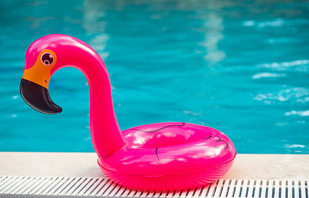istock Pink flamingo inflatable ring in sunny pool 2227715906