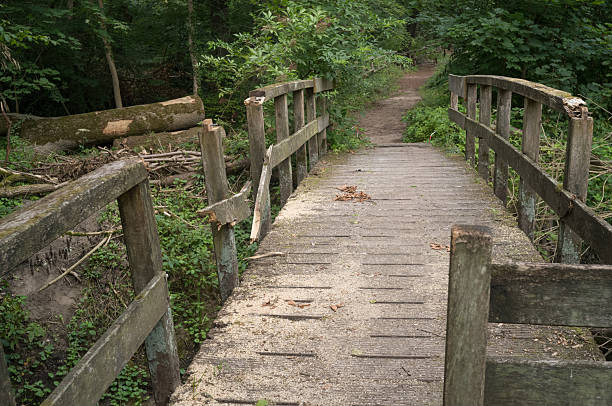 istock Broken wooden bridge leading to forest path 2227715967
