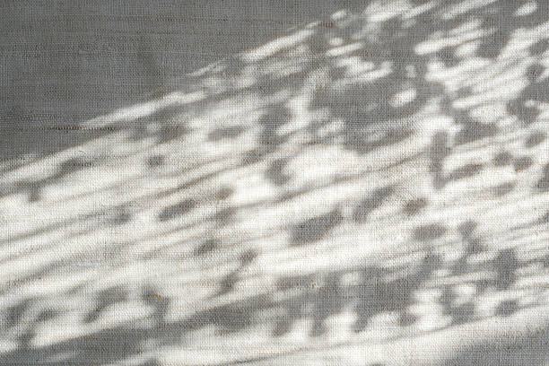 istock Shadows from flax pods on linen fabric. 2227716690