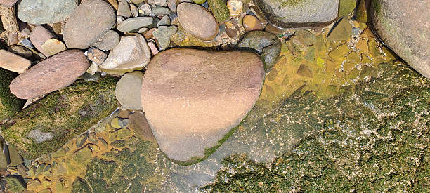 Heart-shaped stones lined up on the rocks of a valley.
