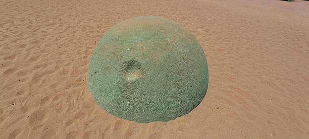 istock Large green spherical rock resting on sandy beach 2227717428