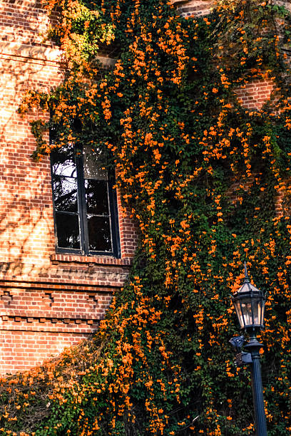 istock Historic Botanical Garden Facade with Orange Blossoms 2227719163