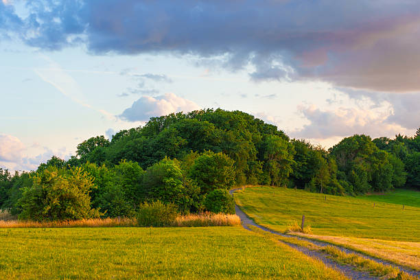 istock Serene Green Hills and Pathway at Sunset in Rossdorf Germany 2227725141