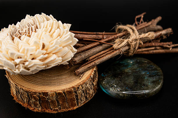 istock Earthy Balance: Natural Serenity and Calming Energies. 2227727352