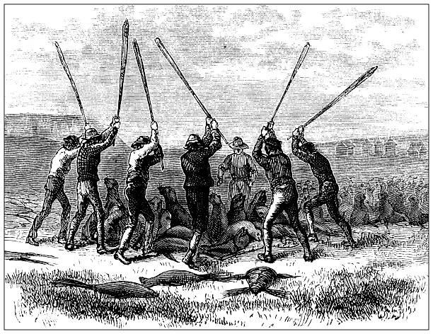 Antique magazine image: Fur Seals hunt, Pribylow (Pribilof) Islands