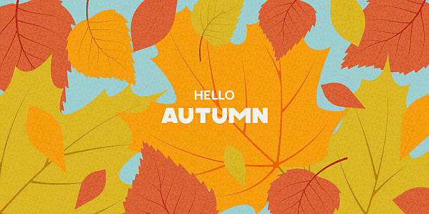 1,200+ Autumn Equinox Illustrations - iStock