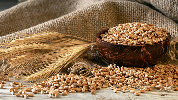This captivating image features a rustic cup brimming with wheat grains, accompanied by beautiful ears of wheat, all elegantly placed on a burlap napkin. Perfect for conveying natural themes.