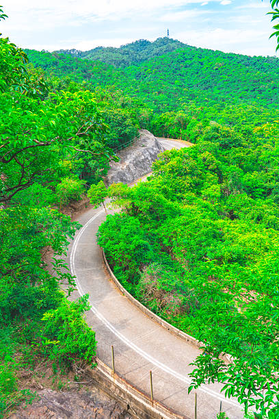Winding road cuts through a vibrant green forest, leading towards a mountain peak with a communication tower