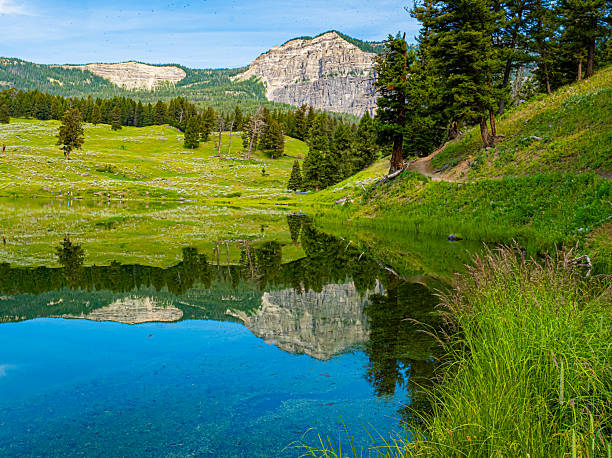 Beautiful mountain lake reflection in Yellowstone national park