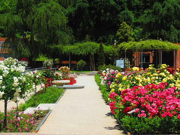 istock La Rosaleda Park in Madrid. 2227734720