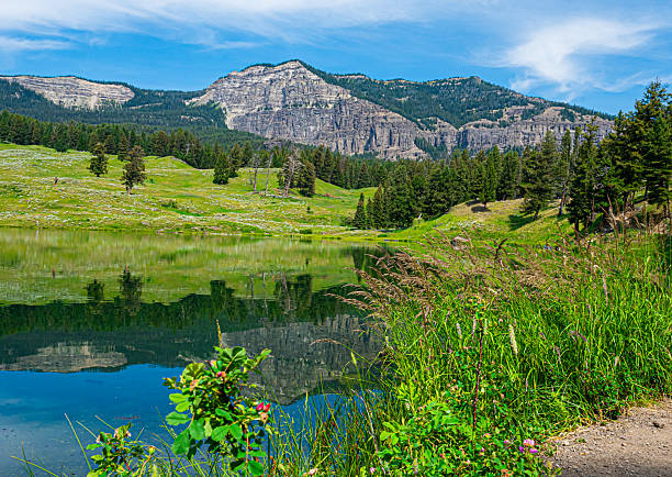 Hiking in Yellowstone National Park