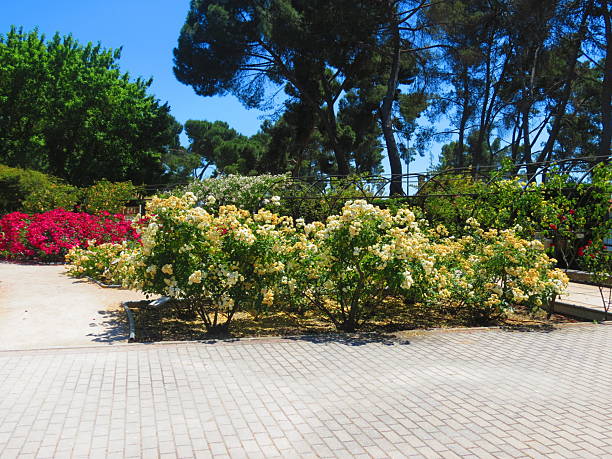 istock La Rosaleda Park in Madrid. 2227734819