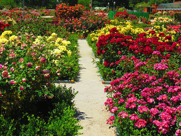 istock La Rosaleda Park in Madrid. 2227734907