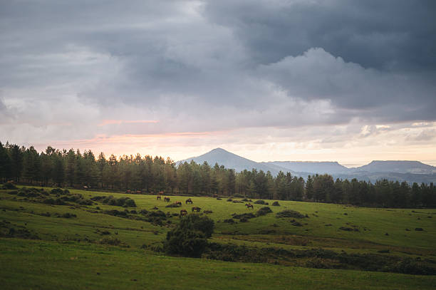 Beautiful mountain landscape at sunset in Cantabria, Spain