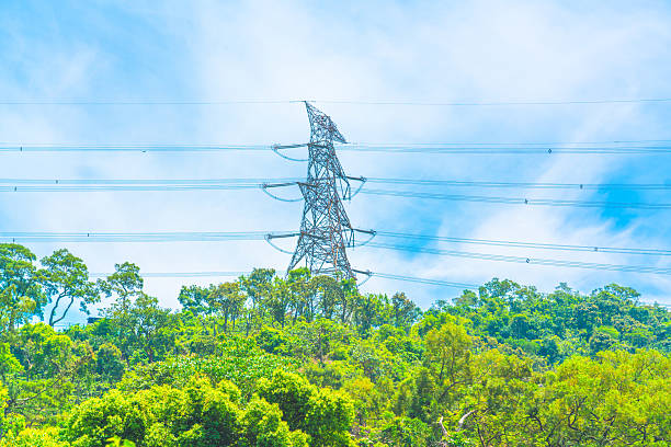 Electricity pylons stand tall on a vibrant green mountain, symbolizing the intersection of nature and energy infrastructure