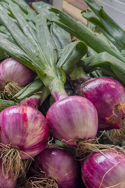istock Full frame group of fresh whole red onions with leek stalk. 2227741142