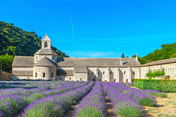 istock The medieval Abbey of Senanque surrounded by lavender fields 2227741929