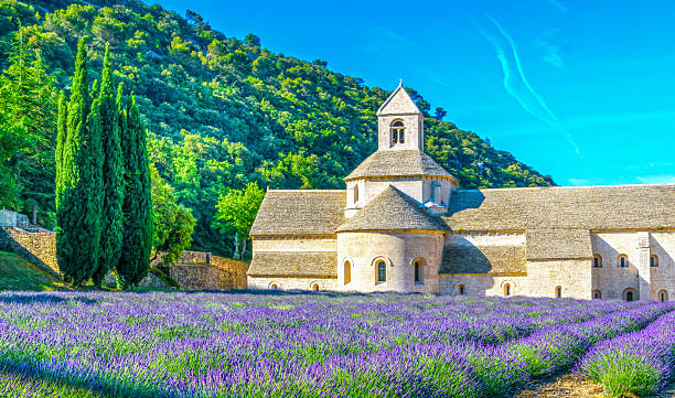 istock The medieval Abbey of Senanque surrounded by lavender fields 2227741932