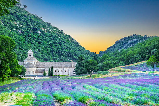istock The medieval Abbey of Senanque surrounded by lavender fields 2227741969