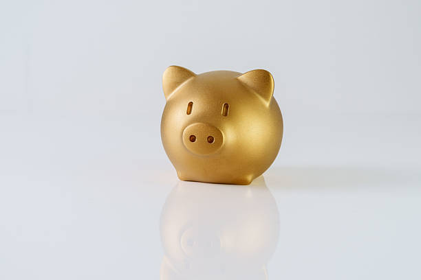 Golden Piggy Bank On White